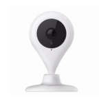 21089_P_1537150686247